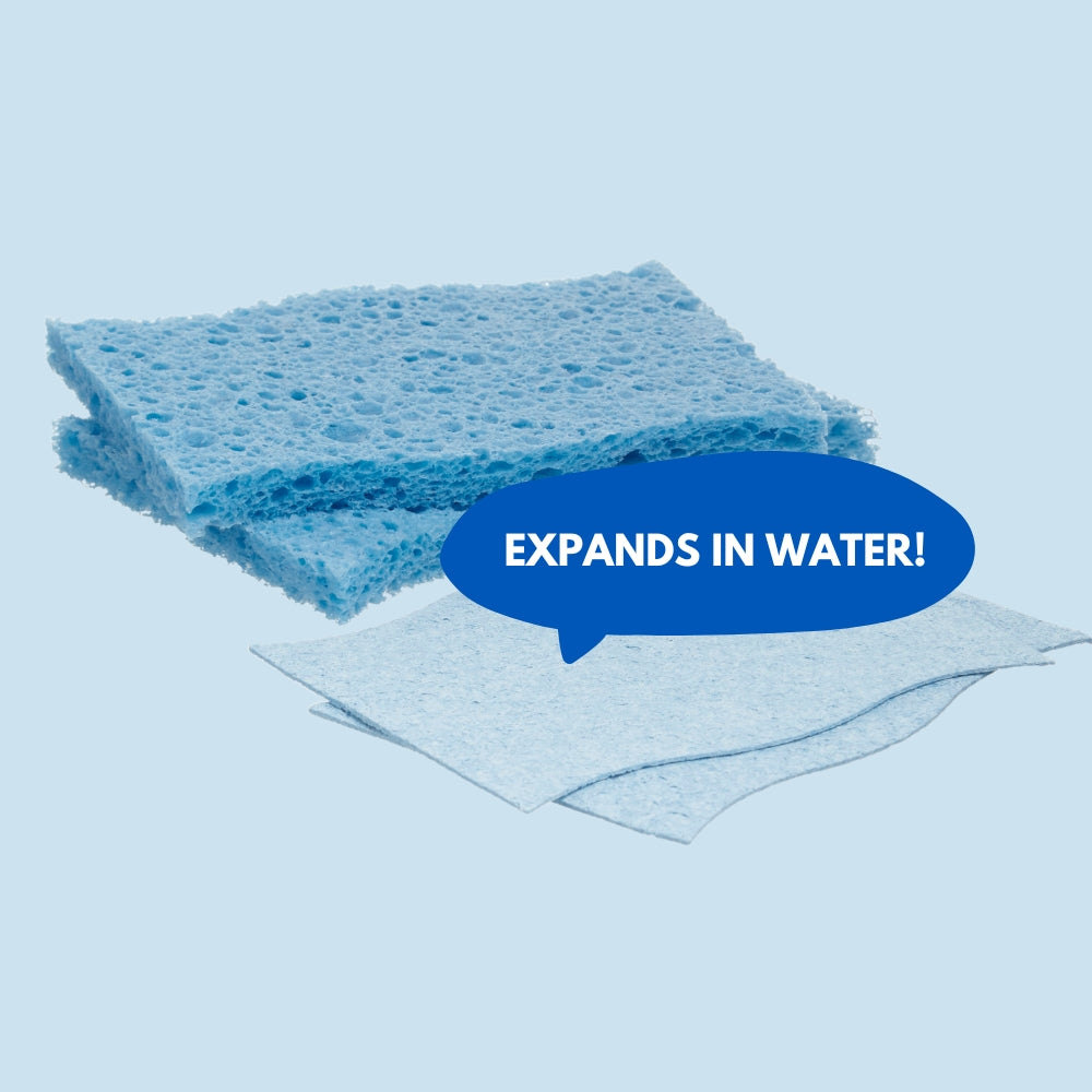 Biodegradable Sponges | 4ocean Sustainable Swaps | Eco-Friendly Cleaning