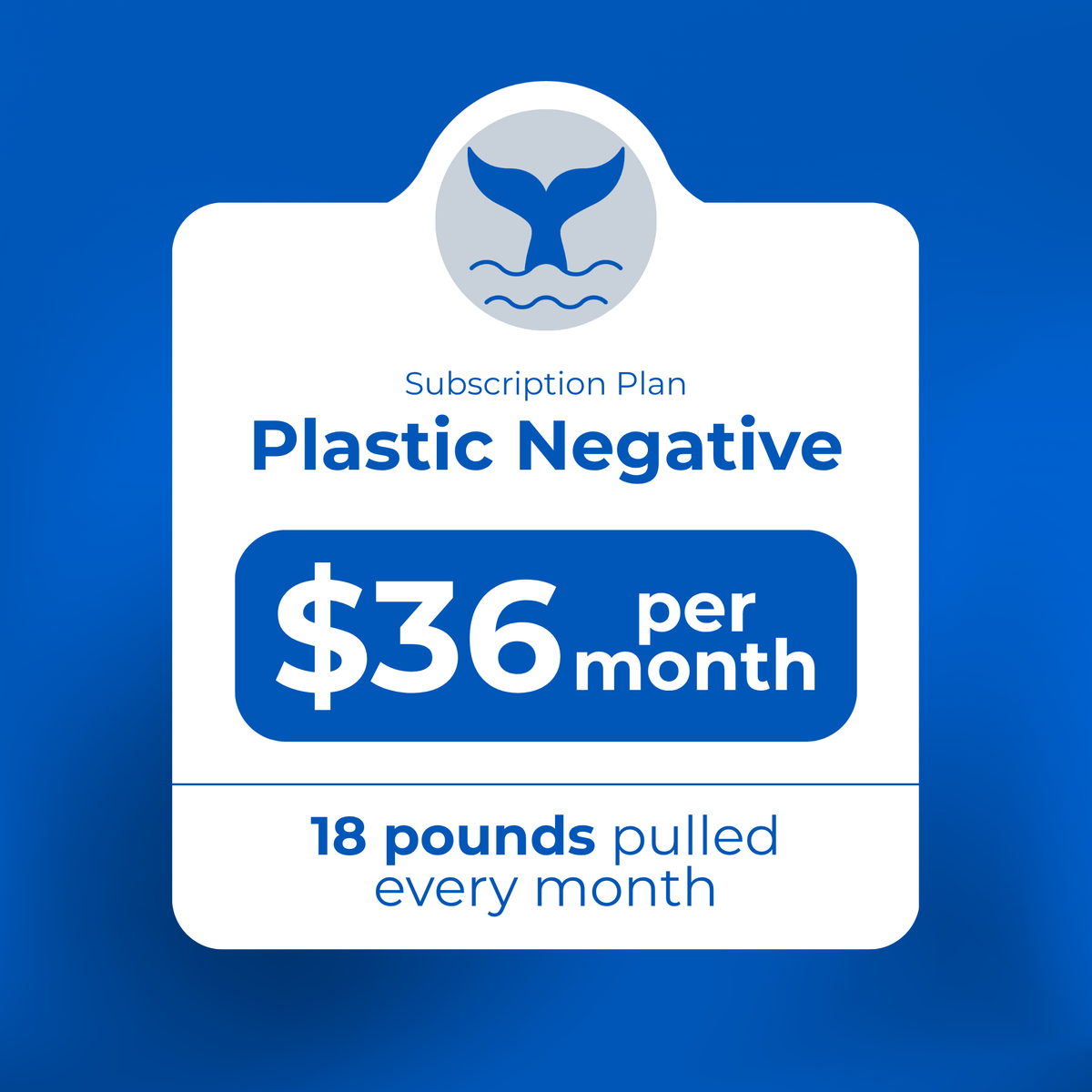 Plastic Negative Plan | 4ocean Plastic Offset Program