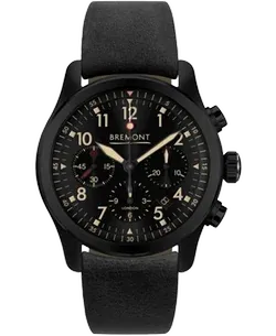 ALT1-P Pilot