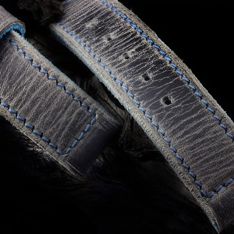Squadra01 Blue