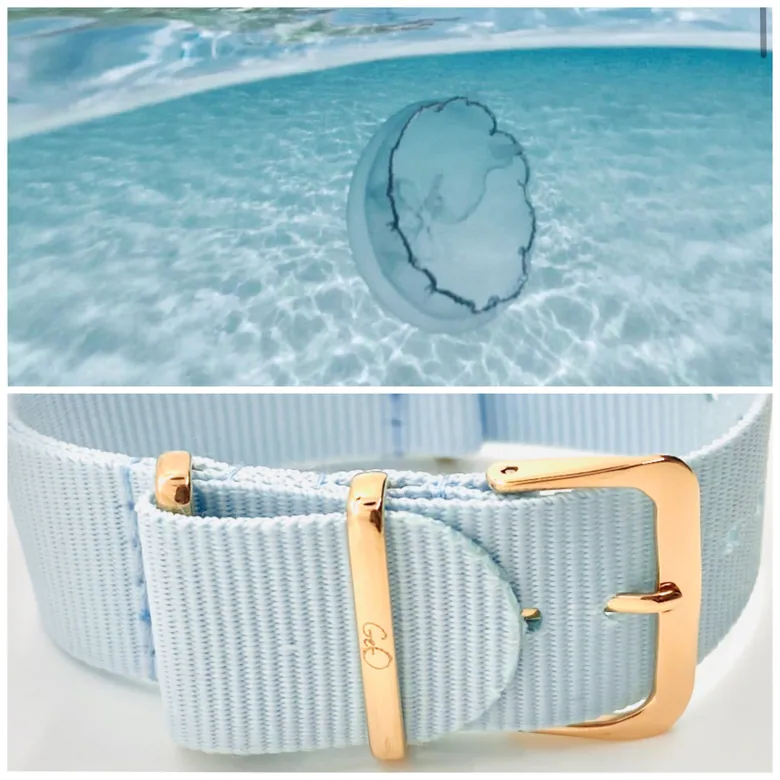 AGUA VIVA | ROSE GOLD
