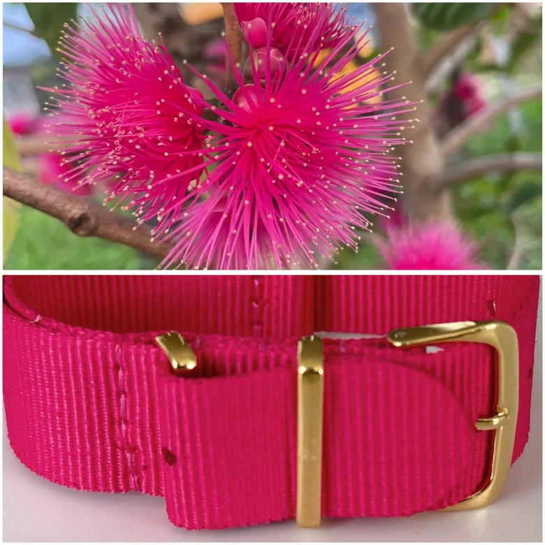 POMARROSA | GOLD