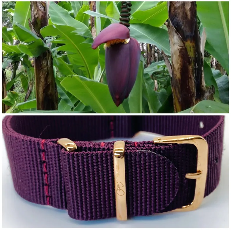 PAMPANA | ROSE GOLD