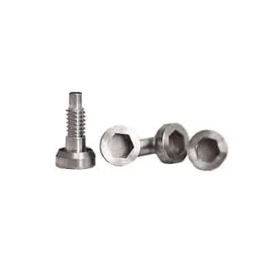 Titanium Screws (a Set of Eight) — Linde Werdelin