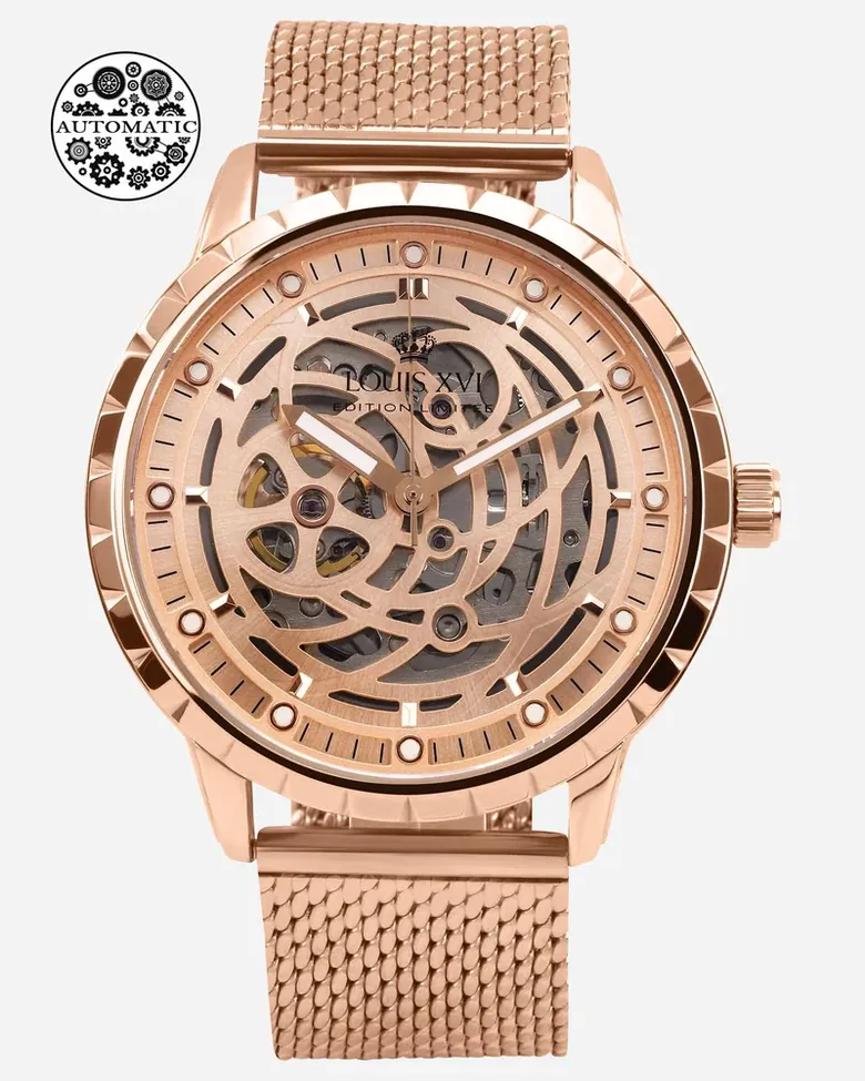 Paris 2.0 - 2010 Automatic Skeleton Watch