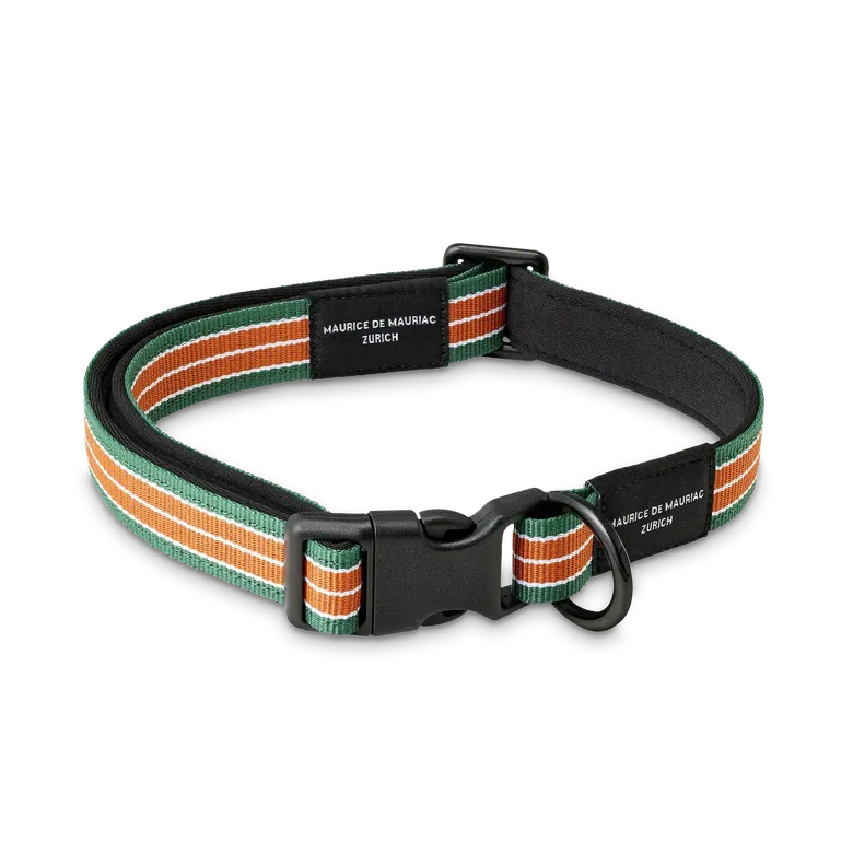 TERRE BATTUE HUNDEHALSBAND