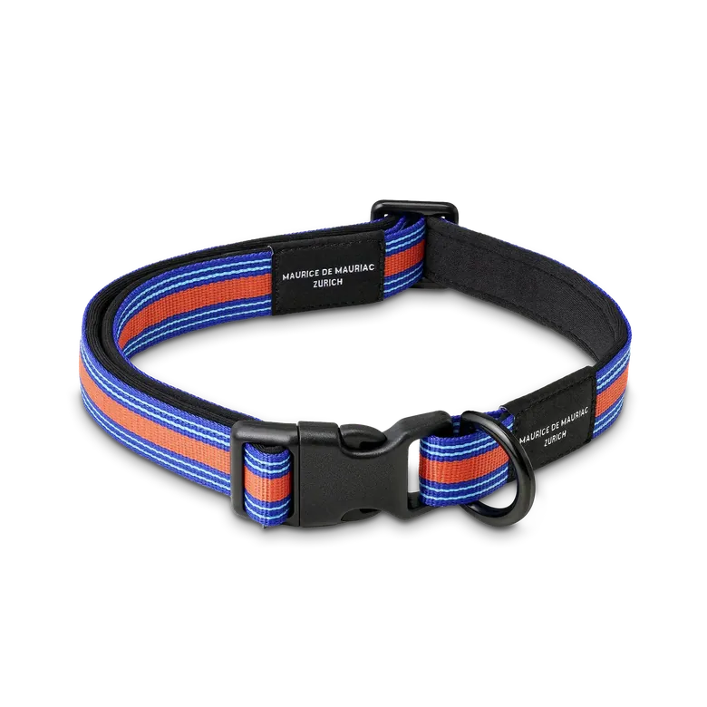 OLD RACING HUNDEHALSBAND