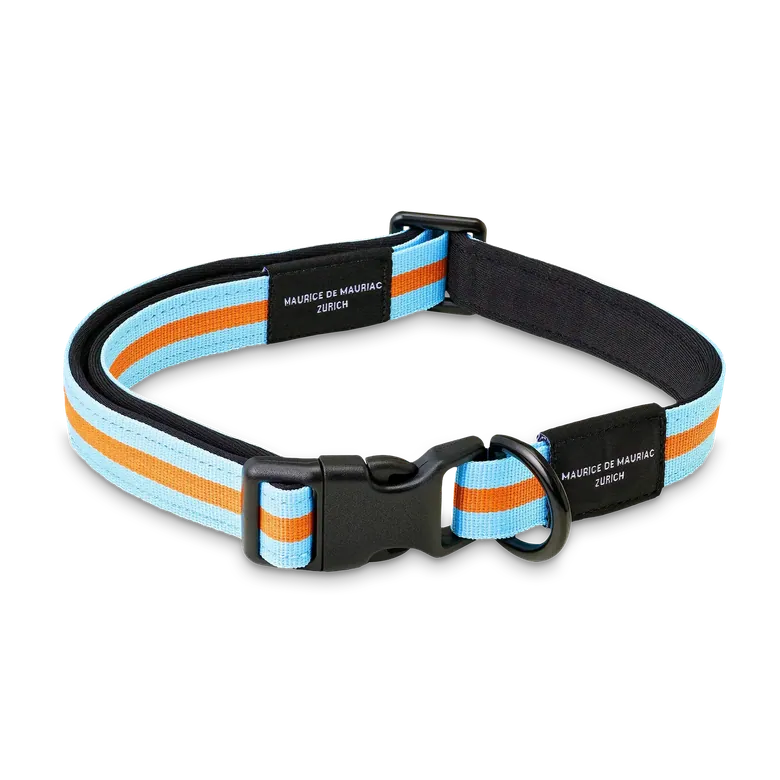 LEMANS HUNDEHALSBAND
