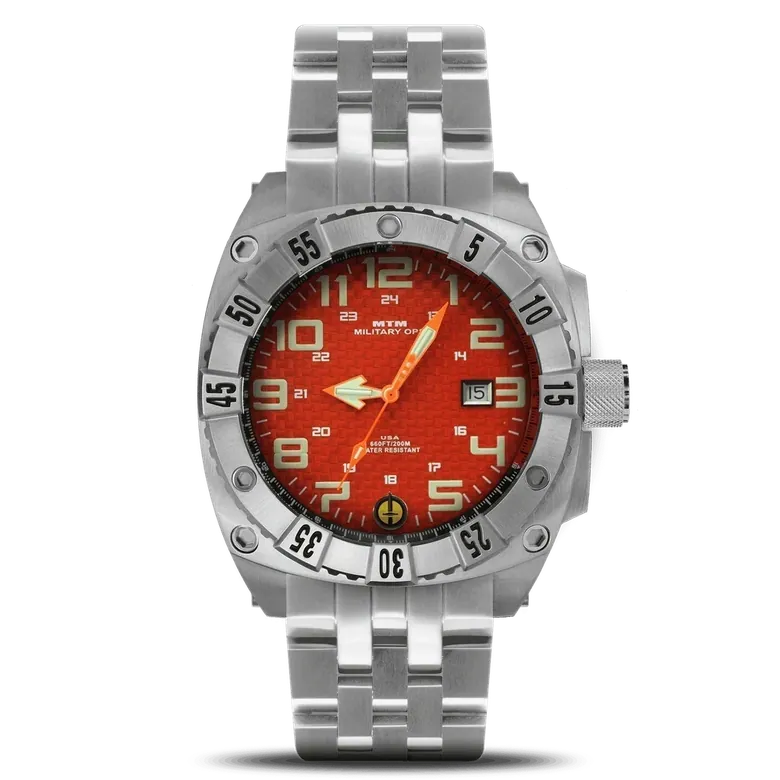 Silver Warrior