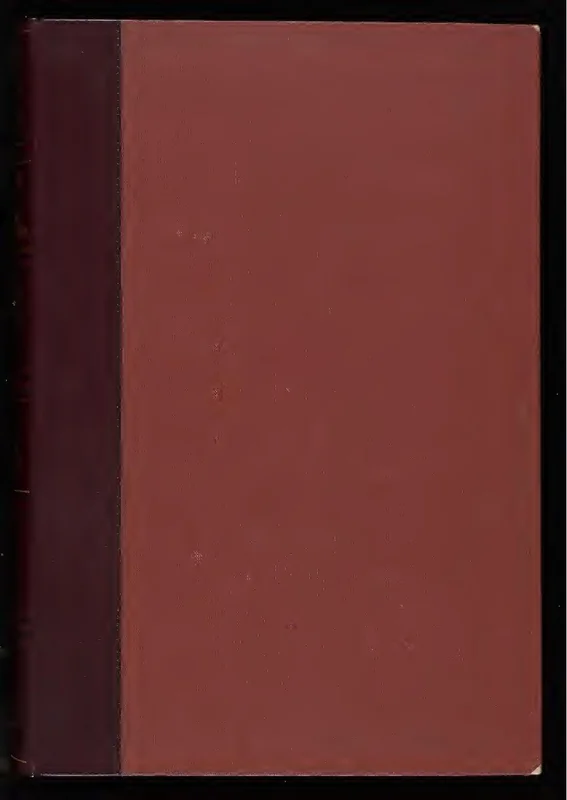 Flamingo Stainless Steel - Rose Gold / MOP T094.210.26.111.01 (aka: T0942102611101)